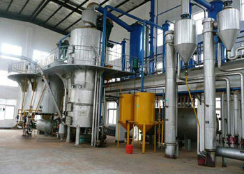 Henan Huatai Signed The Contact Of 20T Soybean Oil Refining Equipment With Egyptian Company