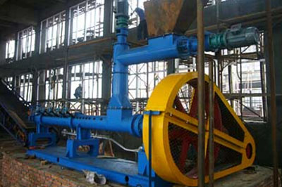Oilseeds Extruder For Oil Mill Plant