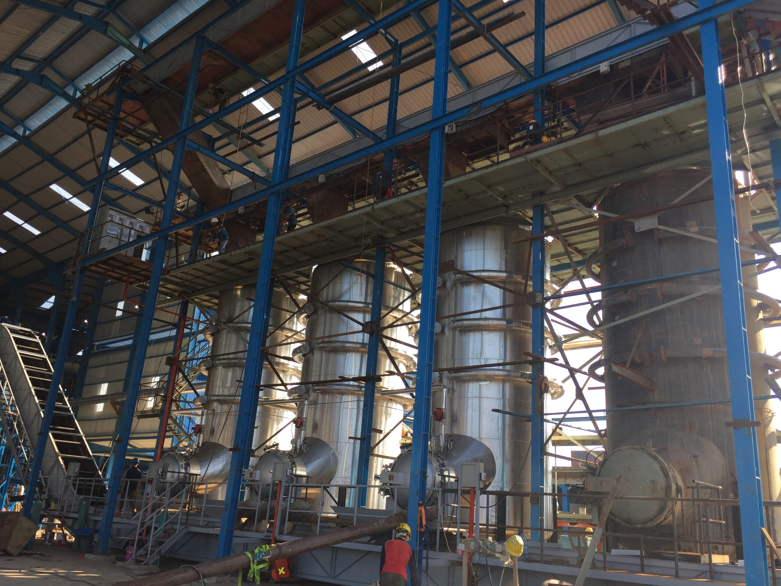 What Are The Common Palm Oil Processing Plant