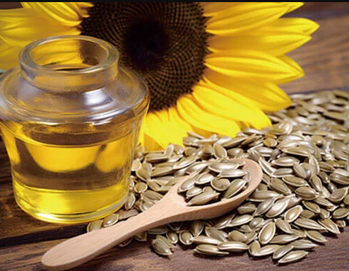 Essential Guide to Using and Maintaining a Sunflower Oil Press