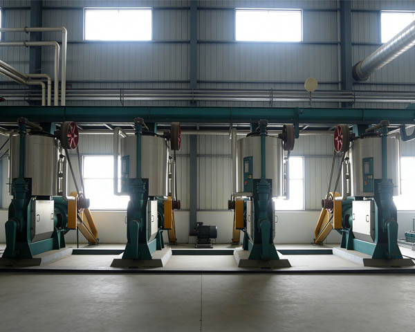 machine for coconut oil
