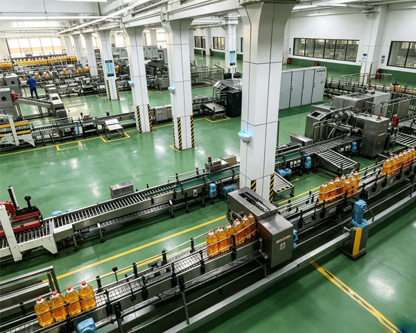 palm oil refining production line